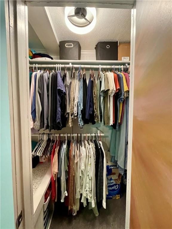 900 Dogwood St, Huntsville, AR 72740 - view of walk in closet