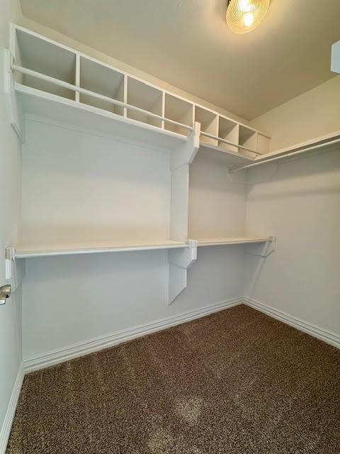 108 Hoss St, Centerton, AR 72719 - spacious closet with dark carpet