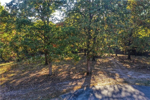 LOT10 Oak Leaf Dr, Harrison, AR 72601
