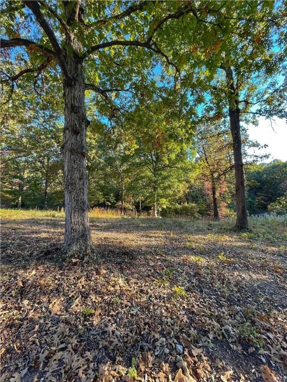 LOT10 Oak Leaf Dr, Harrison, AR 72601