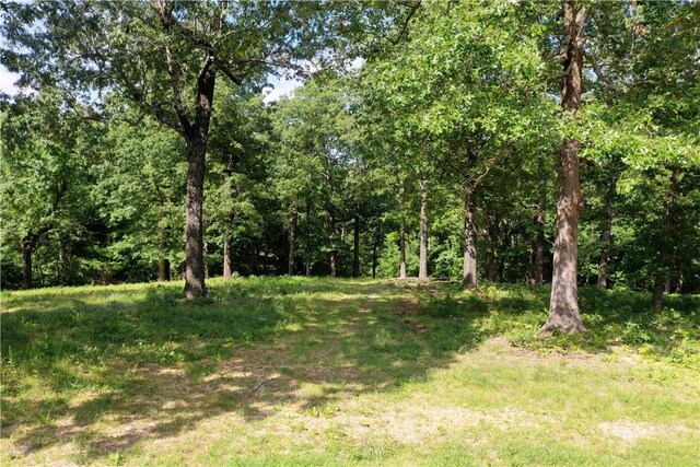 LOT10 Oak Leaf Dr, Harrison, AR 72601 - photo 1