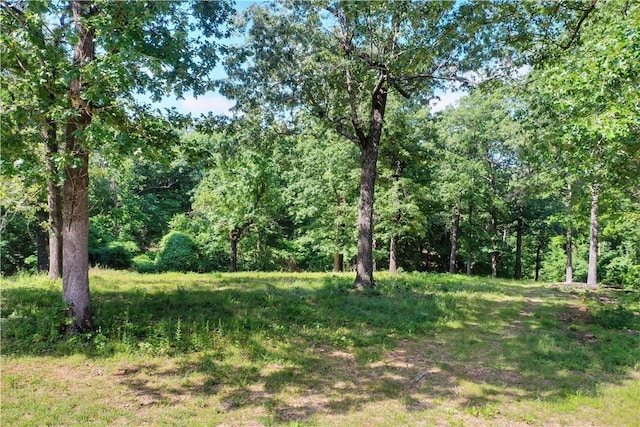LOT10 Oak Leaf Dr, Harrison, AR 72601 - photo 2