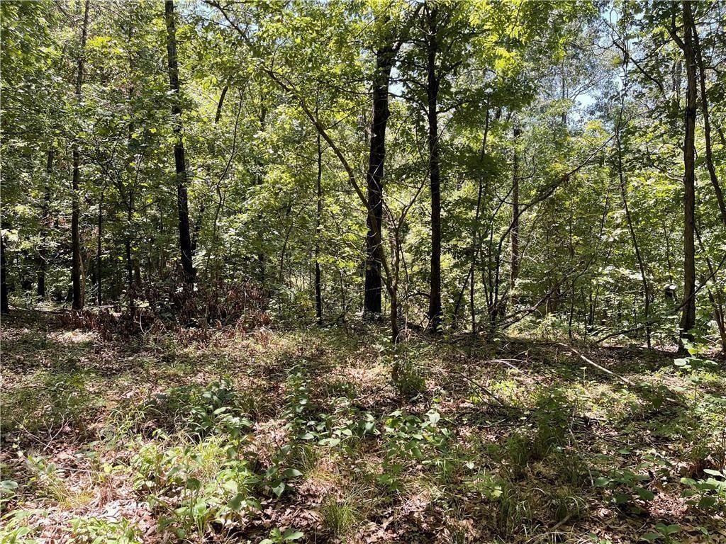 Sherlock Dr, Bella Vista, AR 72715