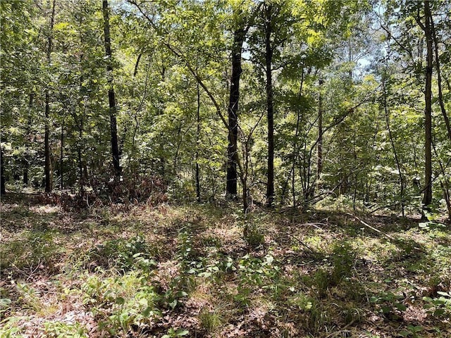 Sherlock Dr, Bella Vista, AR 72715
