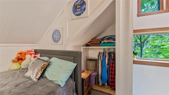 5 Alexander St, Eureka Springs, AR 72632 - bedroom with multiple windows, vaulted ceiling, and a closet