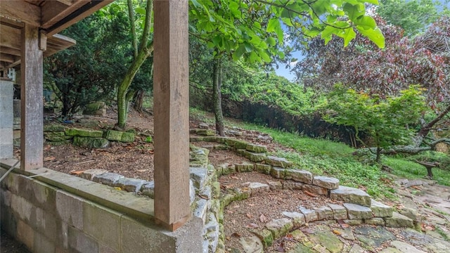 5 Alexander St, Eureka Springs, AR 72632 - view of yard