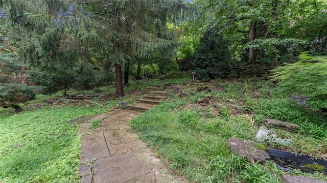5 Alexander St, Eureka Springs, AR 72632 - view of yard featuring a view of trees