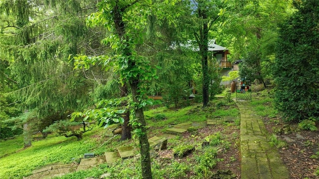5 Alexander St, Eureka Springs, AR 72632 - view of nature