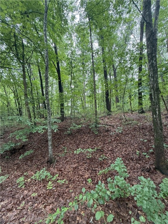 12 Shildon Cir, Bella Vista, AR 72714