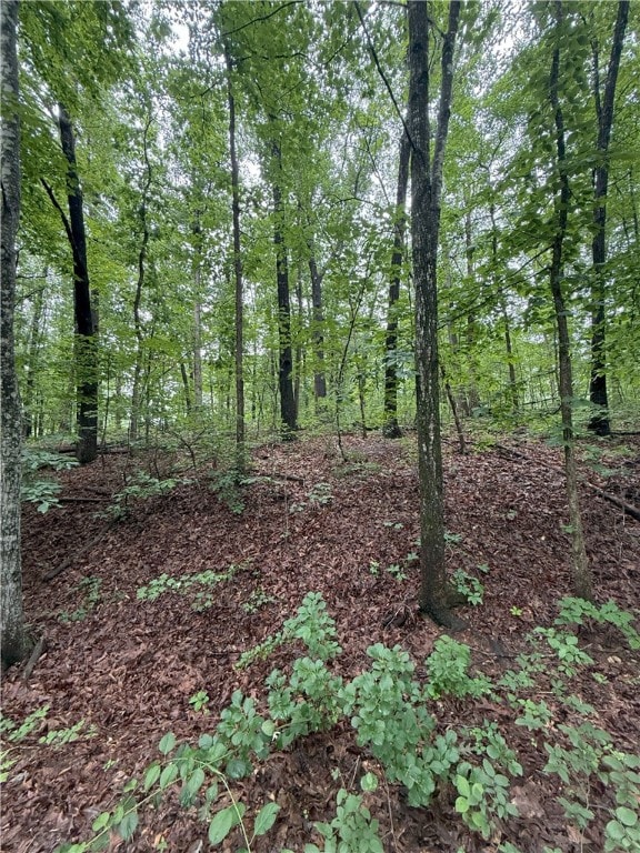12 Shildon Cir, Bella Vista, AR 72714