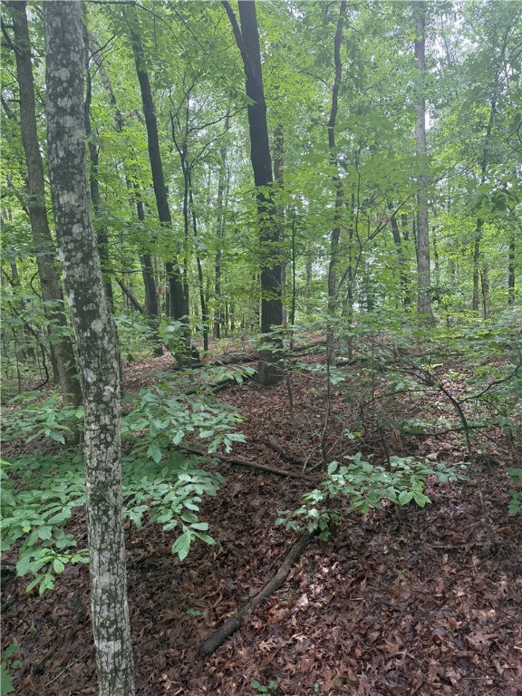 12 Shildon Cir, Bella Vista, AR 72714