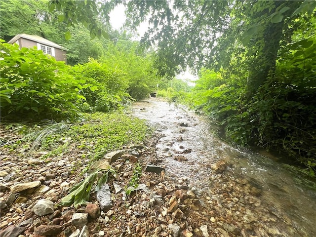 321 F Hwy, Anderson, MO 64831 - view of road