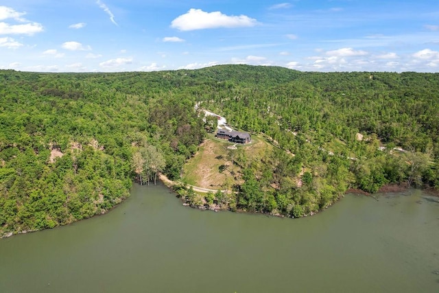 18700 Knabenschuh Dr, Garfield, AR 72732 - photo 60