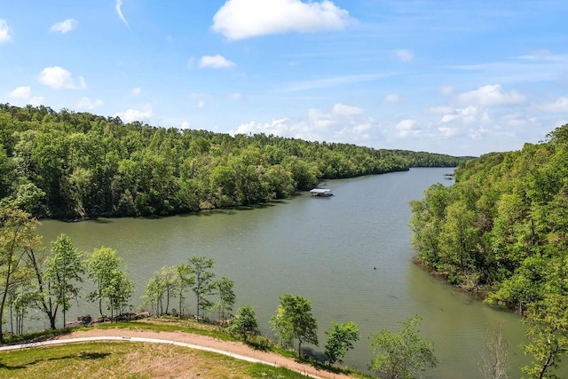 18700 Knabenschuh Dr, Garfield, AR 72732 - photo 49