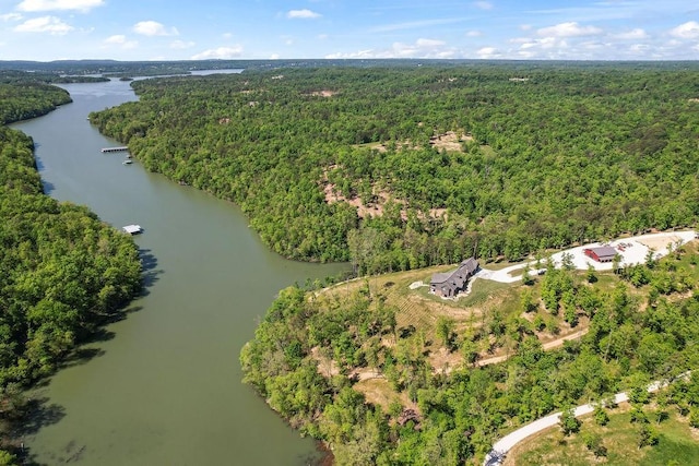 18700 Knabenschuh Dr, Garfield, AR 72732 - photo 6