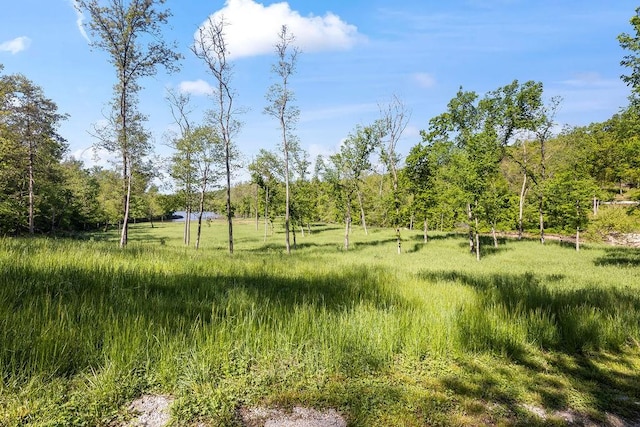 18700 Knabenschuh Dr, Garfield, AR 72732 - photo 52