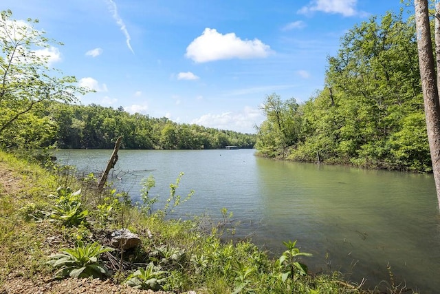 18700 Knabenschuh Dr, Garfield, AR 72732 - photo 55