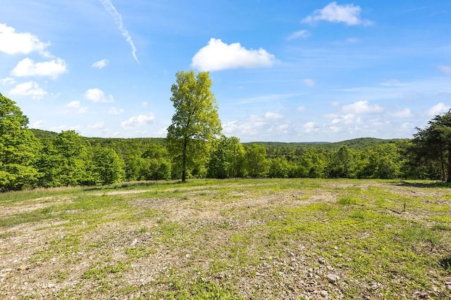18700 Knabenschuh Dr, Garfield, AR 72732 - photo 56
