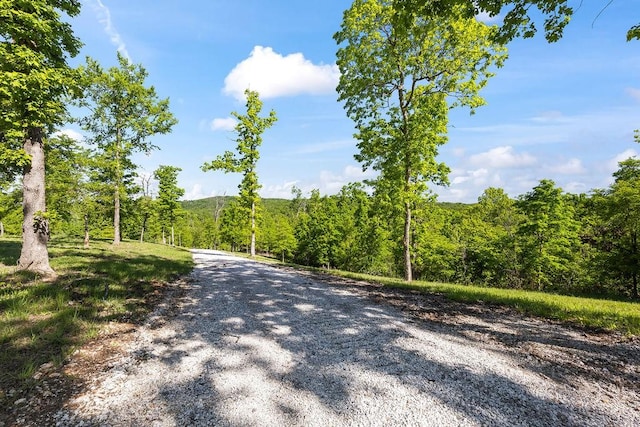 18700 Knabenschuh Dr, Garfield, AR 72732 - photo 51