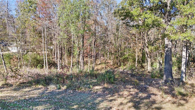 3 Hollye Loop, Dardanelle, AR 72834