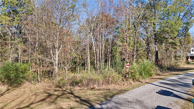 3 Hollye Loop, Dardanelle, AR 72834