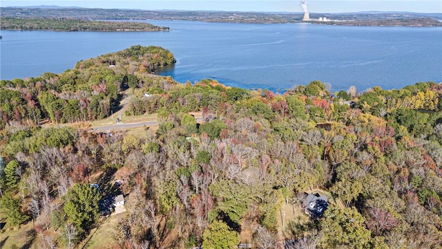 3 Hollye Loop, Dardanelle, AR 72834