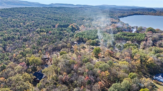 3 Hollye Loop, Dardanelle, AR 72834