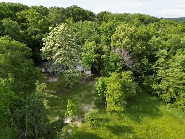11561 Old Apple Hill Rd, Prairie Grove, AR 72753 - photo 5