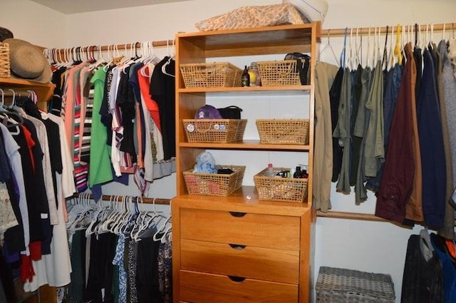 11328 Jolly Mill Ln, Pierce City, MO 65723 - view of spacious closet