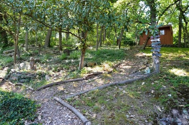 11328 Jolly Mill Ln, Pierce City, MO 65723 - view of yard
