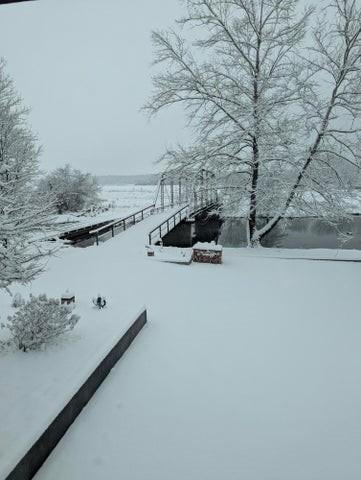 11328 Jolly Mill Ln, Pierce City, MO 65723 - view of snowy yard