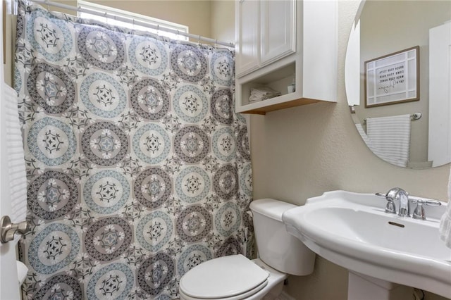 2 Moniave Ln, Bella Vista, AR 72715 - full bath with toilet, a shower with curtain, and a sink