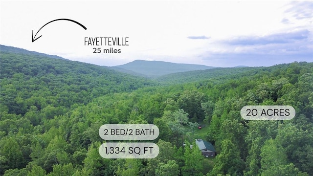 1732 Madison Unit 4316, Elkins, AR 72727 - mountain view featuring a heavily wooded area