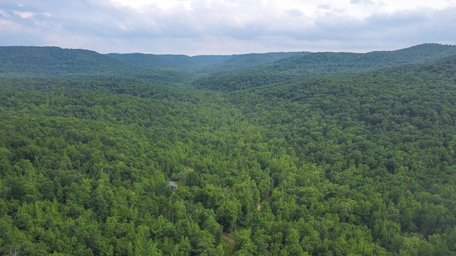 1732 Madison Unit 4316, Elkins, AR 72727 - mountain view with a forest