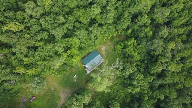 1732 Madison Unit 4316, Elkins, AR 72727 - aerial view of property's location