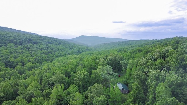 1732 Madison Unit 4316, Elkins, AR 72727 - mountain view with a forest
