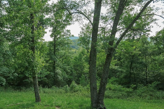 1732 Madison Unit 4316, Elkins, AR 72727 - view of tree filled area