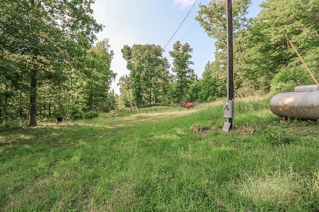 1732 Madison Unit 4316, Elkins, AR 72727 - view of yard