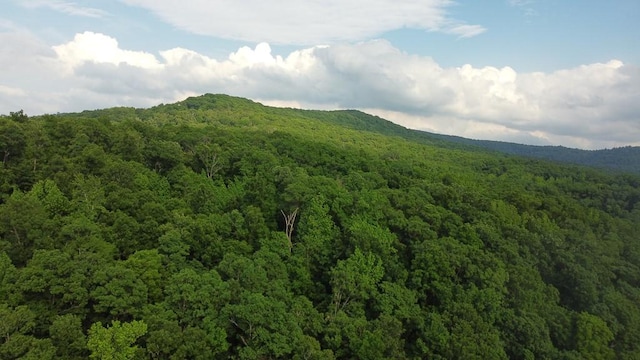 1732 Madison Unit 4316, Elkins, AR 72727 - view of mountain backdrop with a forest
