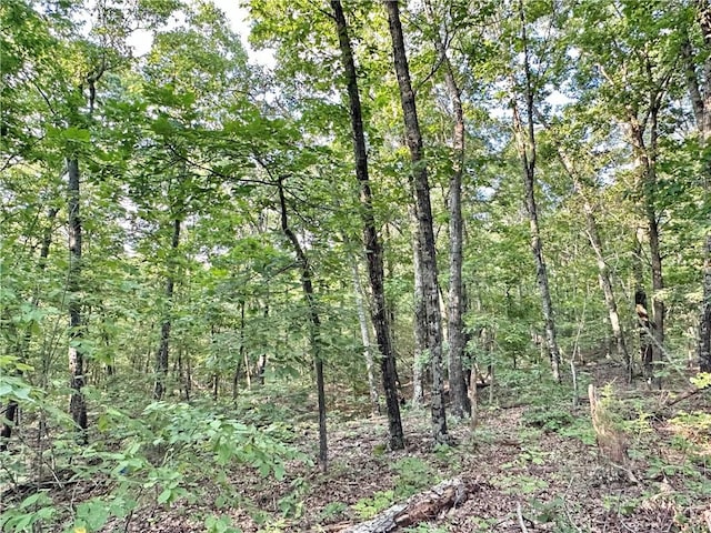 TBD8.14 Slaty Gap Rd, West Fork, AR 72774