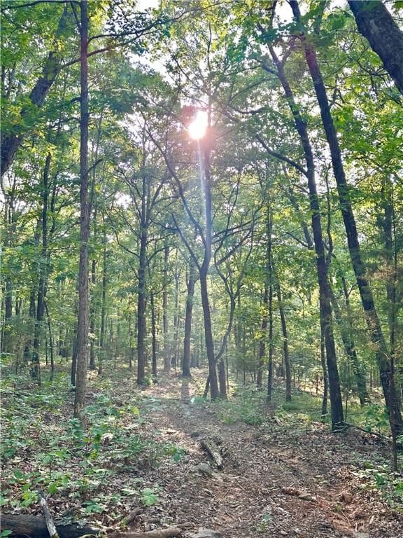 TBD8.14 Slaty Gap Rd, West Fork, AR 72774