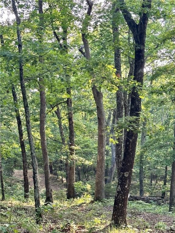 TBD8.14 Slaty Gap Rd, West Fork, AR 72774