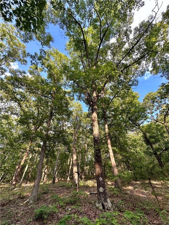 TBD8.14 Slaty Gap Rd, West Fork, AR 72774