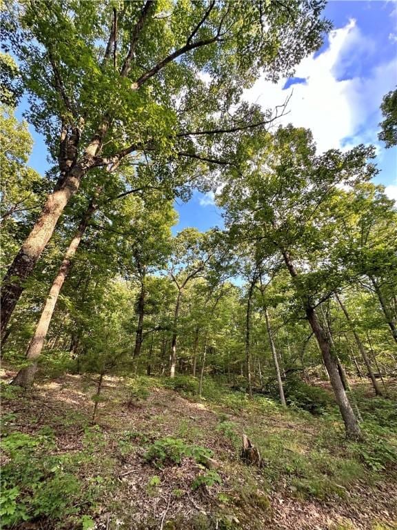 TBD8.14 Slaty Gap Rd, West Fork, AR 72774