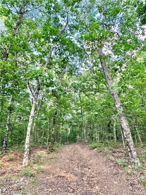 TBD8.14 Slaty Gap Rd, West Fork, AR 72774