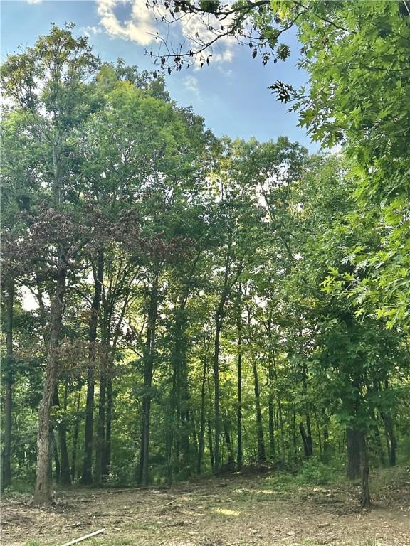 TBD8.14 Slaty Gap Rd, West Fork, AR 72774