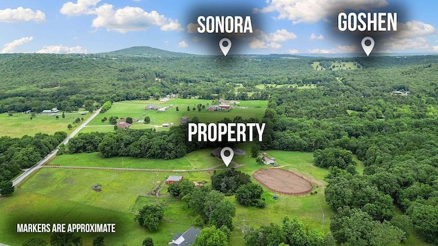 12976 Hummingbird Rd, Elkins, AR 72727 - bird's eye view of a forest