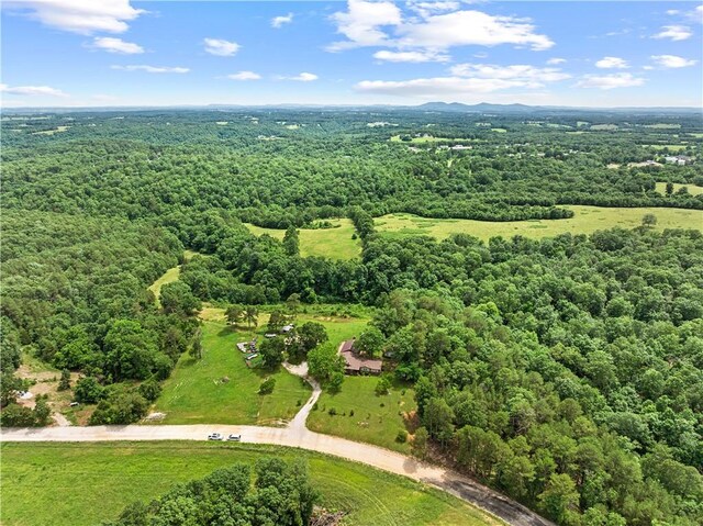 4668 Tar Kiln Rd, Harrison, AR 72601 - photo 32