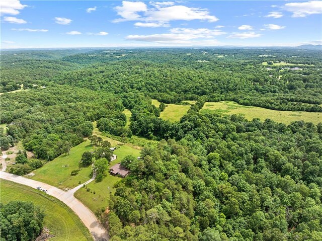 4668 Tar Kiln Rd, Harrison, AR 72601 - photo 33
