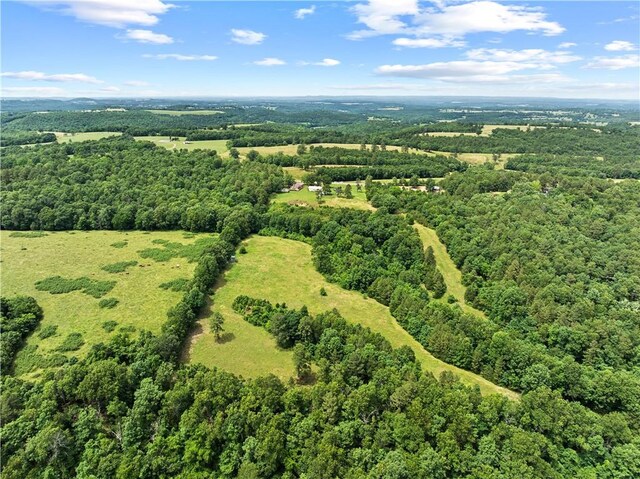 4668 Tar Kiln Rd, Harrison, AR 72601 - photo 34